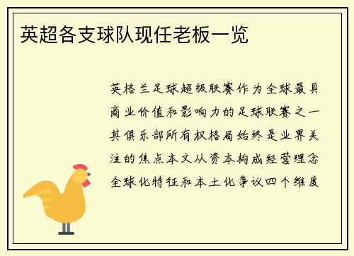英超各支球队现任老板一览