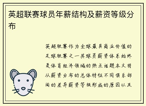 英超联赛球员年薪结构及薪资等级分布